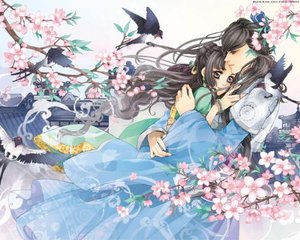 嫰草视频一区二区